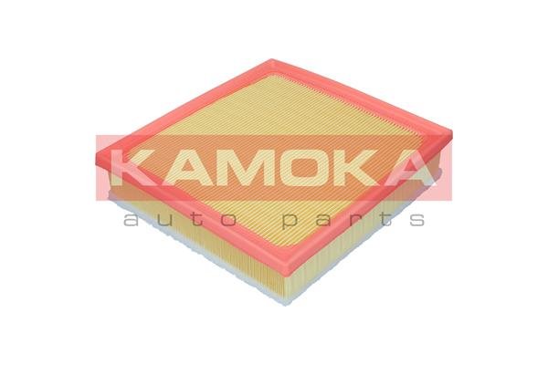 KAMOKA F257801