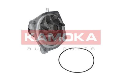 KAMOKA T0006