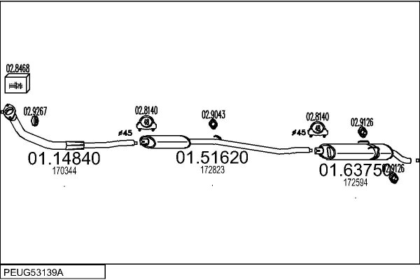 MTS PEUG53139A002310