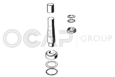 OCAP 0927454