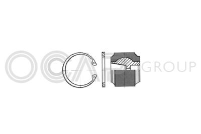OCAP 0907761