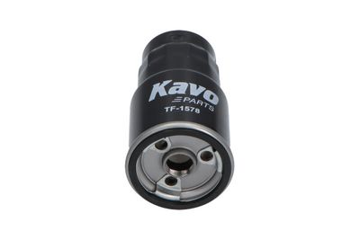 KAVO PARTS TF-1578