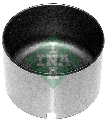 INA 421 0057 10 INA 421 0057 10