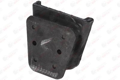 BIRTH 53162 BIRTH 53162