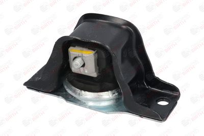 BIRTH 52102 BIRTH 52102