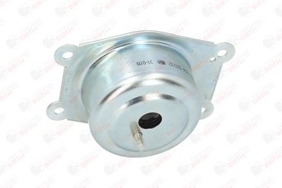 BIRTH 52032 BIRTH 52032