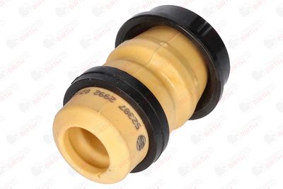 BIRTH 52387 BIRTH 52387