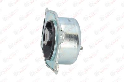 BIRTH 52032 BIRTH 52032