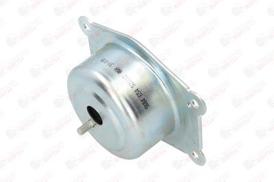 BIRTH 52032 BIRTH 52032