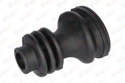 BIRTH 7268 BIRTH 7268