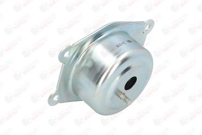 BIRTH 52032 BIRTH 52032