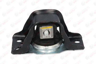 BIRTH 52102 BIRTH 52102