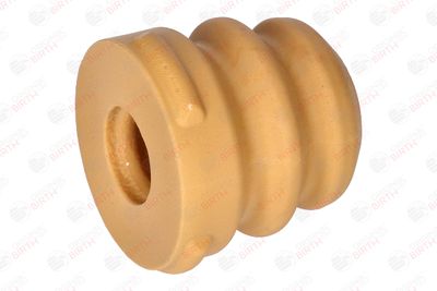 BIRTH 52508 BIRTH 52508