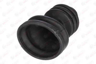 BIRTH 7268 BIRTH 7268