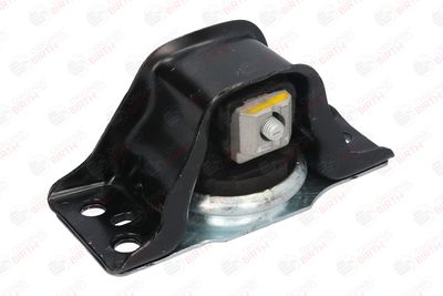 BIRTH 52102 BIRTH 52102