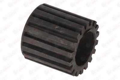 BIRTH 51589 BIRTH 51589