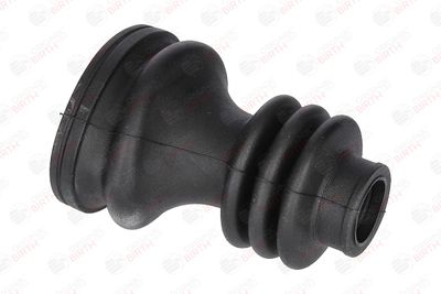 BIRTH 7268 BIRTH 7268