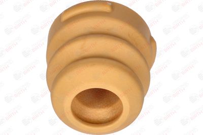 BIRTH 52508 BIRTH 52508