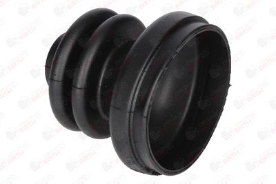 BIRTH 7331 BIRTH 7331