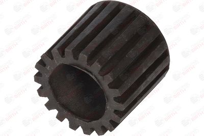 BIRTH 51589 BIRTH 51589