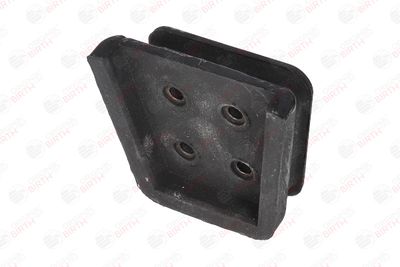 BIRTH 53162 BIRTH 53162