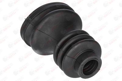 BIRTH 7268 BIRTH 7268