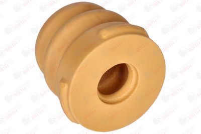 BIRTH 52508 BIRTH 52508