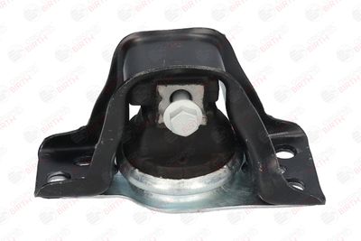 BIRTH 52102 BIRTH 52102