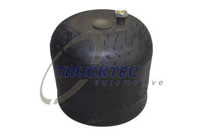 TRUCKTEC AUTOMOTIVE 01.30.255