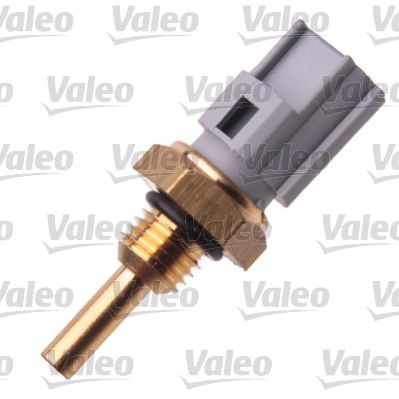 VALEO 700089