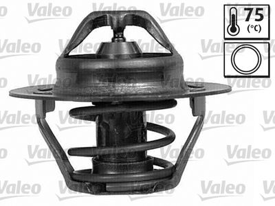 VALEO 820786