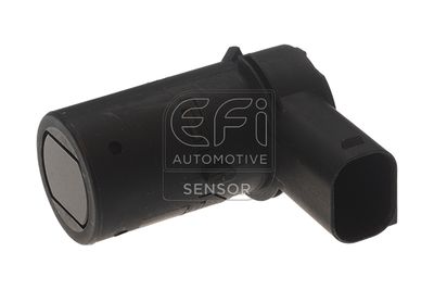 EFI AUTOMOTIVE 306019