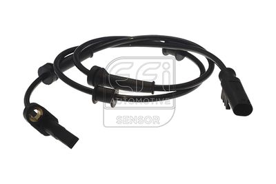 EFI AUTOMOTIVE 302168