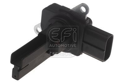 EFI AUTOMOTIVE 305180