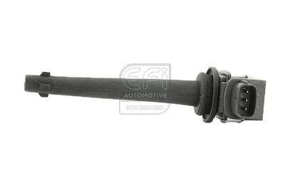 EFI AUTOMOTIVE 155138