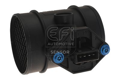 EFI AUTOMOTIVE 305012