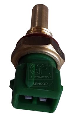 EFI AUTOMOTIVE 295076 EFI AUTOMOTIVE 295076