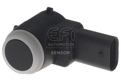 EFI AUTOMOTIVE 306012