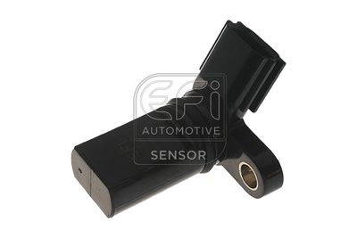 EFI AUTOMOTIVE 303325