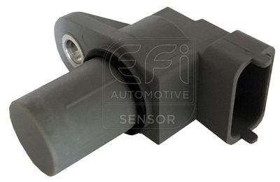 EFI AUTOMOTIVE 303321