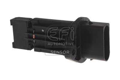 EFI AUTOMOTIVE 305099