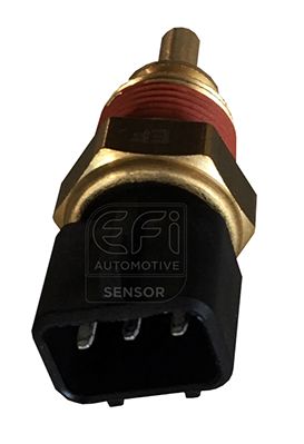 EFI AUTOMOTIVE 295072