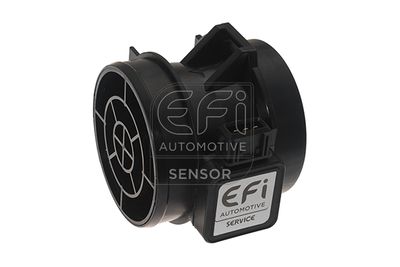 EFI AUTOMOTIVE 305127