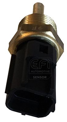 EFI AUTOMOTIVE 295062