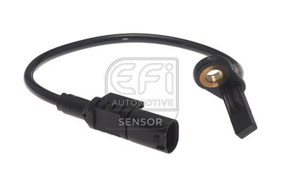 EFI AUTOMOTIVE 302435