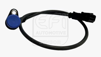 EFI AUTOMOTIVE 303068