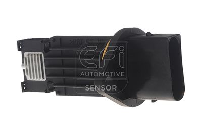 EFI AUTOMOTIVE 305174