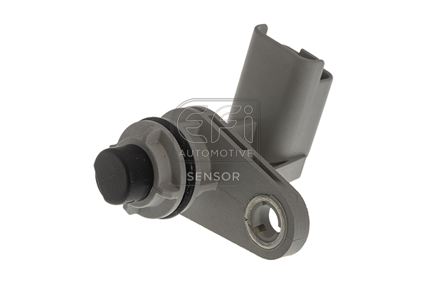 EFI AUTOMOTIVE 147250 EFI AUTOMOTIVE 147250