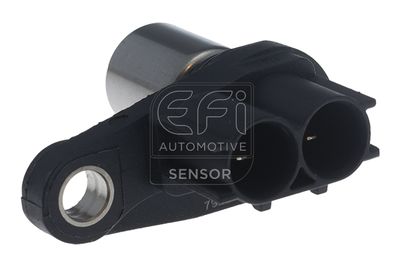 EFI AUTOMOTIVE 303463