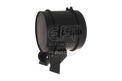 EFI AUTOMOTIVE 305112